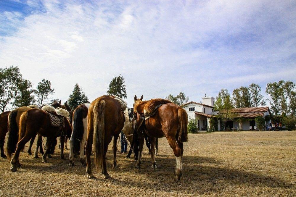Finca Valentina El Encón Exterior foto